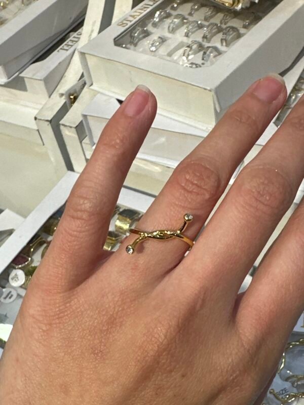 Bague acier inoxydable