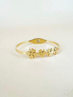 Bracelet jonc en acier inoxydable