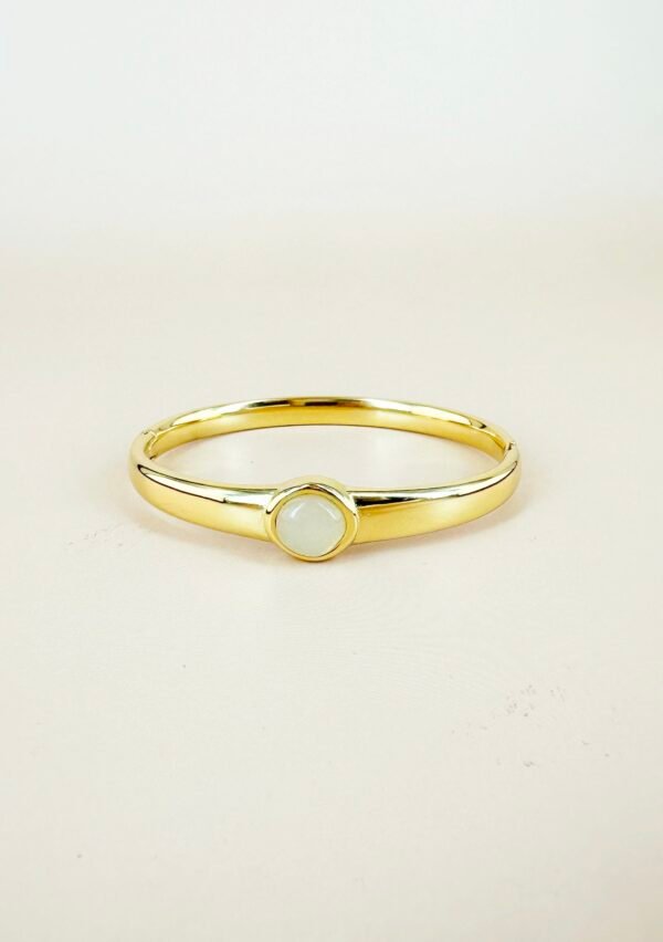 Bracelet jonc en acier inoxydable