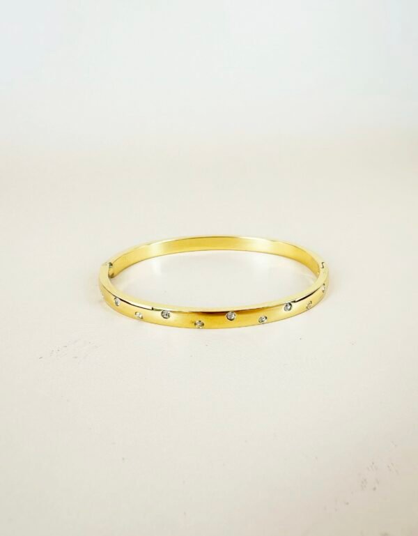 Bracelet jonc en acier inoxydable