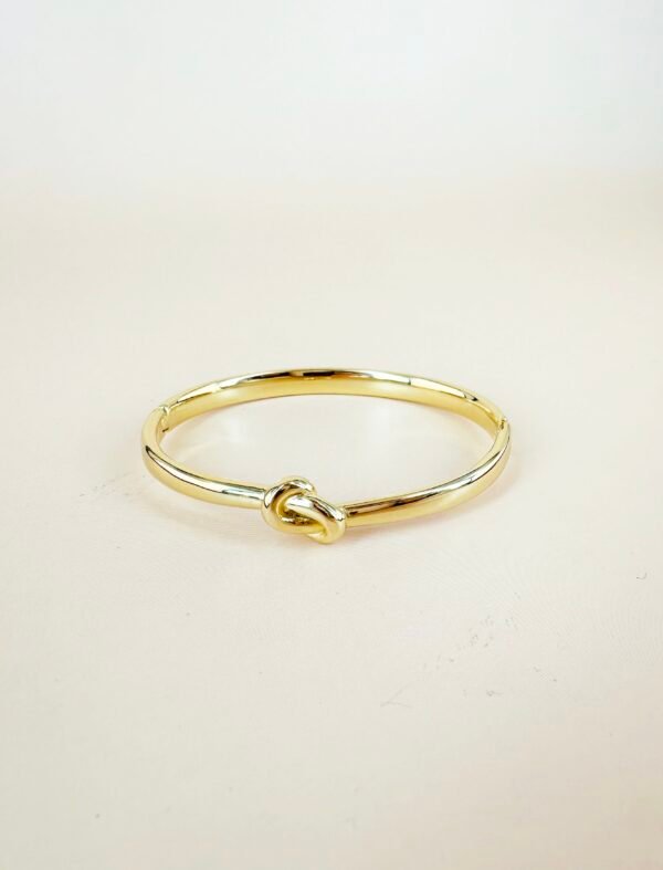 Bracelet jonc en acier inoxydable