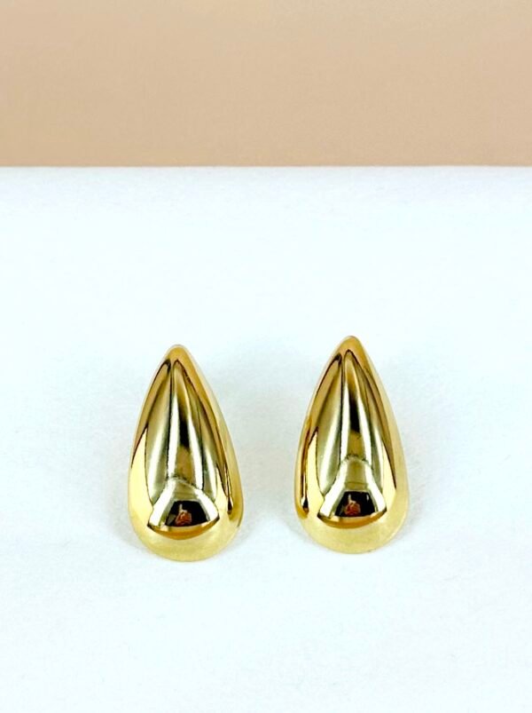 Boucles d'oreilles en acier inoxydable