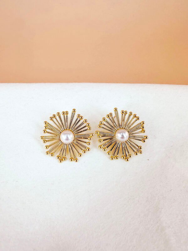 Boucles d'oreilles en acier inoxydable