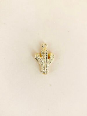 Charm cactus