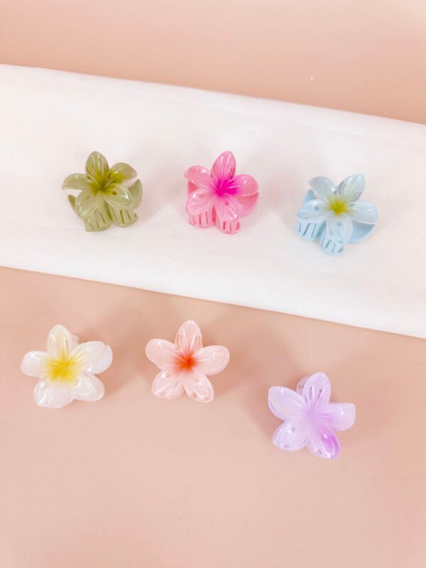 Pince cheveux fleurs mini